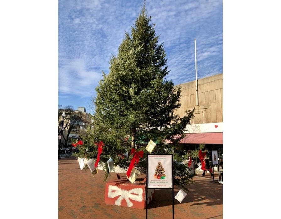 Harvard Square's Holiday Giving Tree - Harvard Square