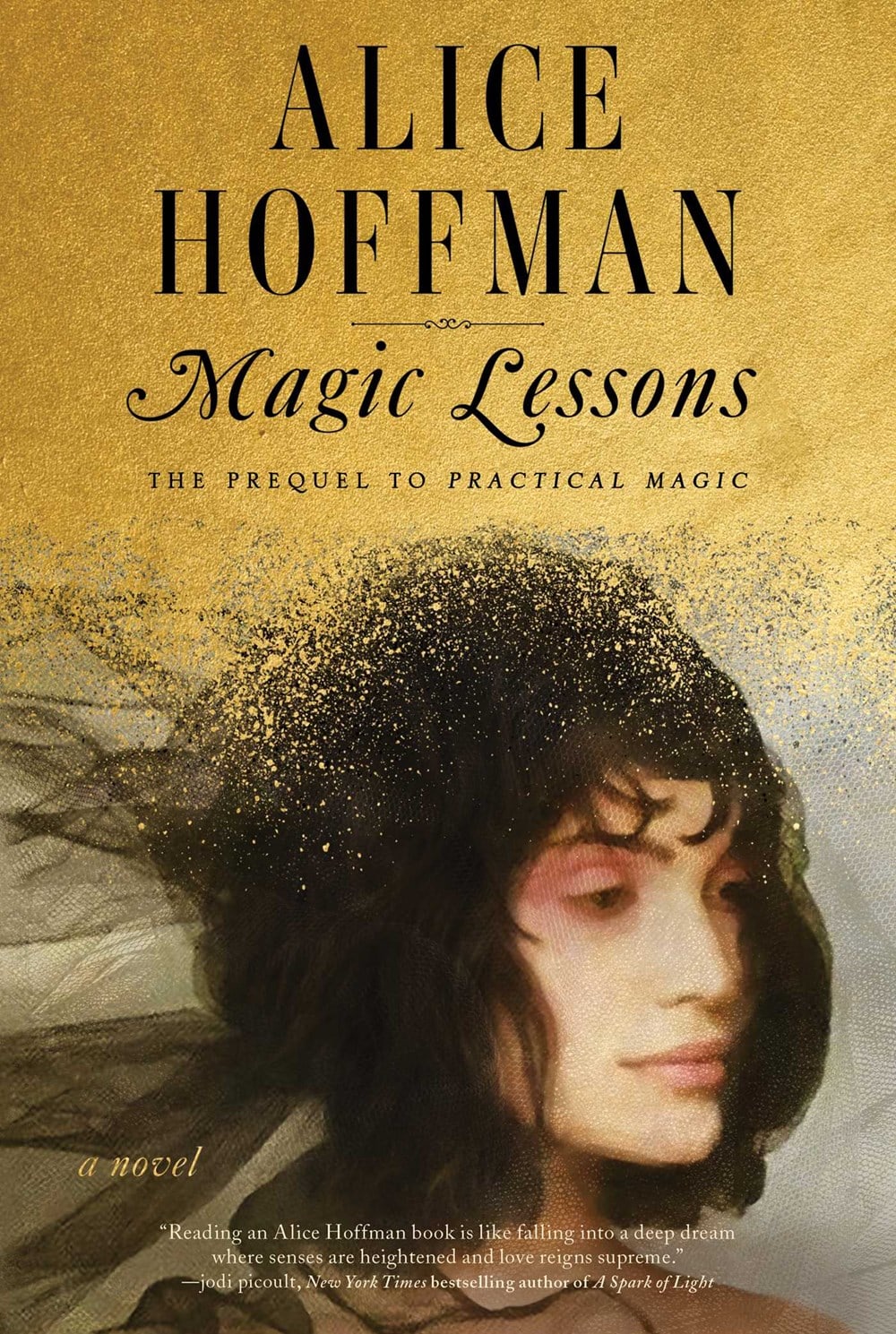 magic lessons alice hoffman reviews magic lessons alice hoffman reviews