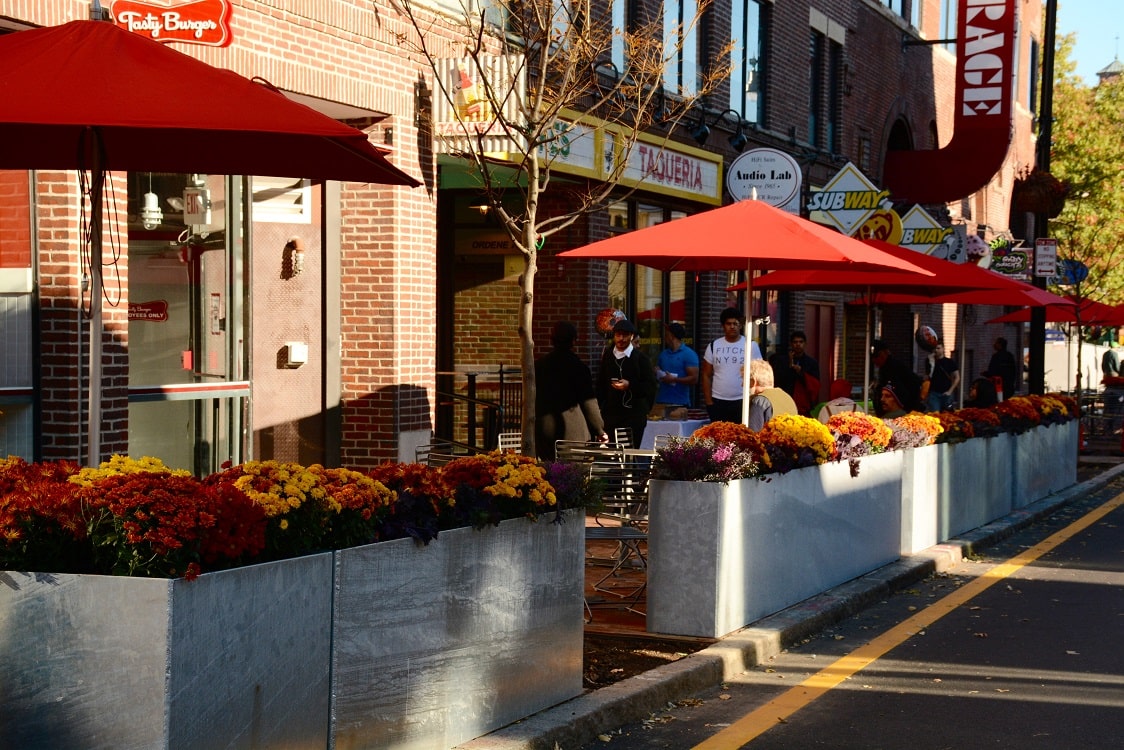 Patios in Bloom; Al Fresco Dining in Harvard Square Harvard Square