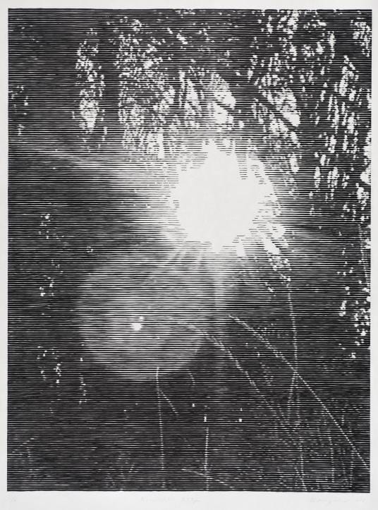 A work on paper shows a light source shining through trees that are obscured by horizonal lines.