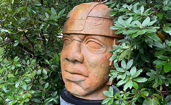 A giant sculpted Olmec head.