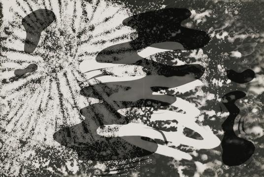 A black and white photogram with abstract patterns.