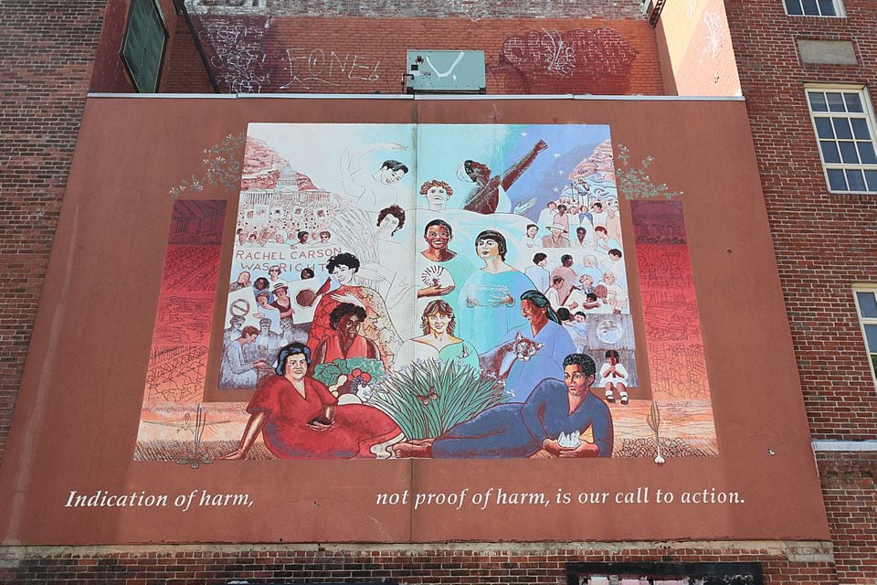 A mural by Be Sargent alongside the former Harvard Square Theater on Church Street in Cambridge honors the advocacy of the Women's Community Cancer Project.