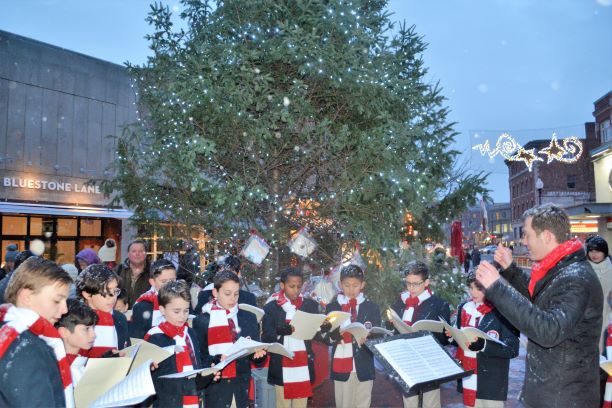 Harvard Square Giving Tree Celebration - Harvard Square