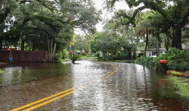 A flooded street and front yards of homes in a suburban neighborhood of the United States.