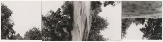 Four square black and white photographs arranged in a row, showing different views of a landscape.
