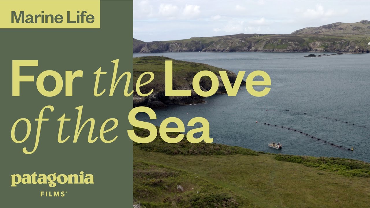 For the Love of the Sea | Patagonia Films - YouTube