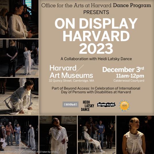 A light-colored event poster showing photographs of performers and onlookers.