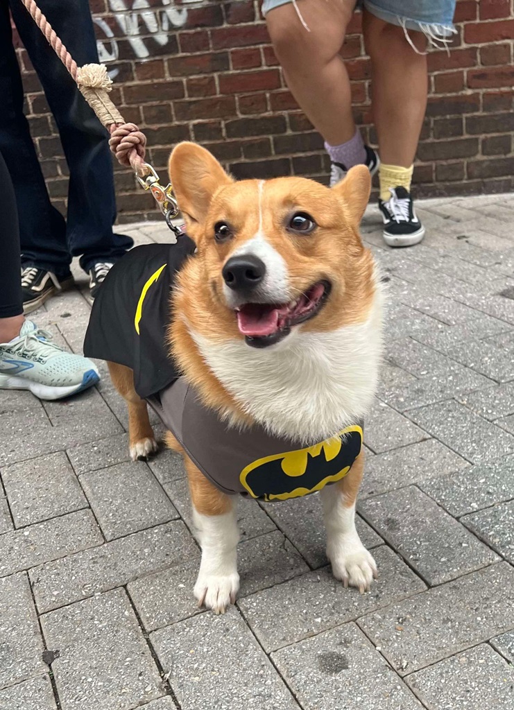 This image has an empty alt attribute; its file name is 456911925_1549432459301184_3338538042407874163_n-Smaller.jpg